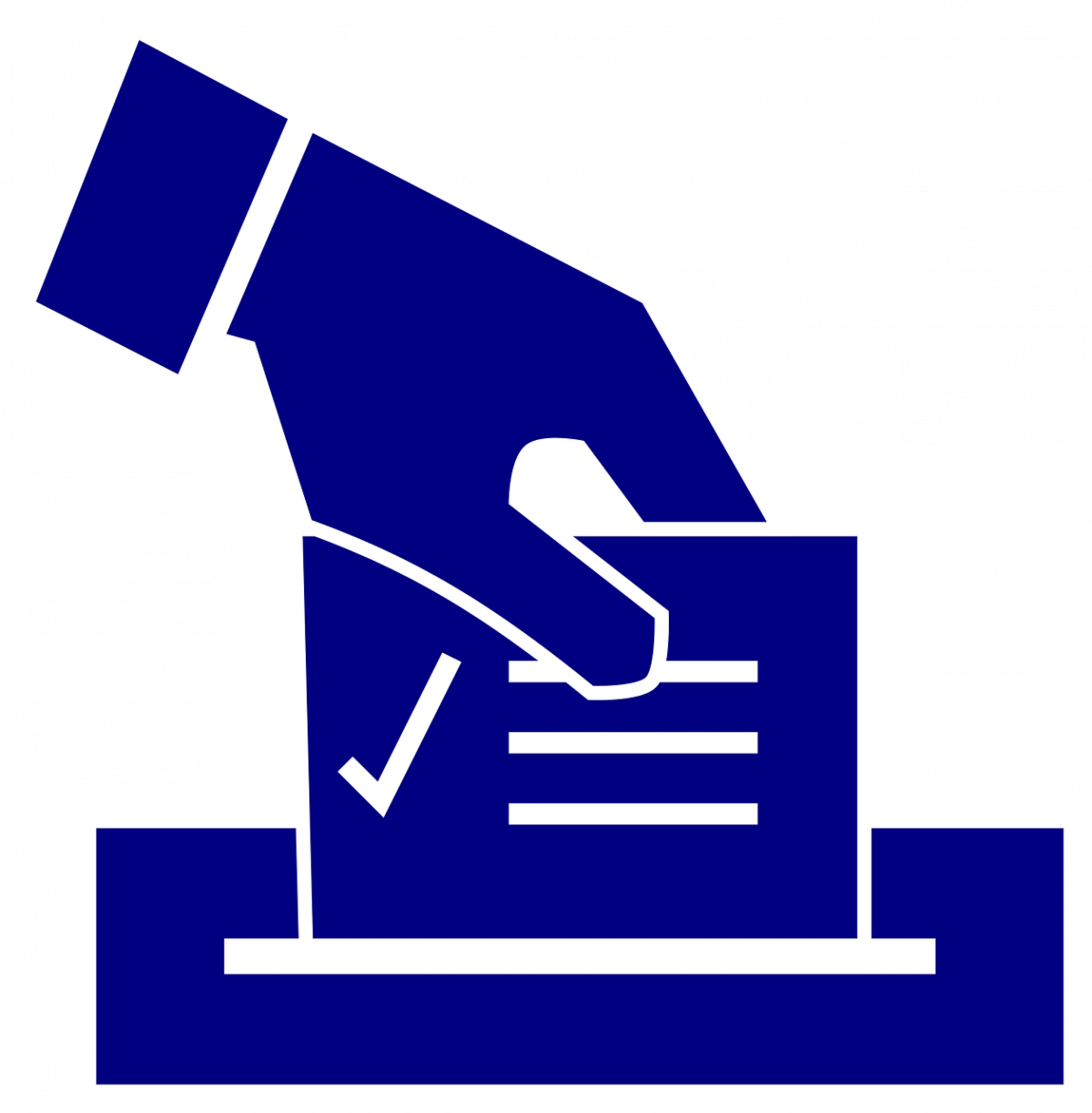 Voting icon